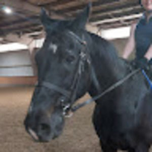 Meet your Posher, Chantelle